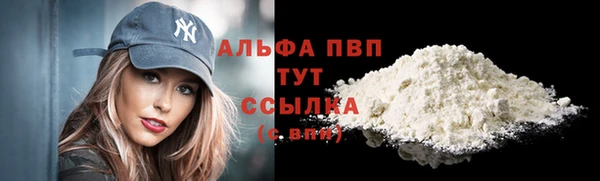 трава Богородицк